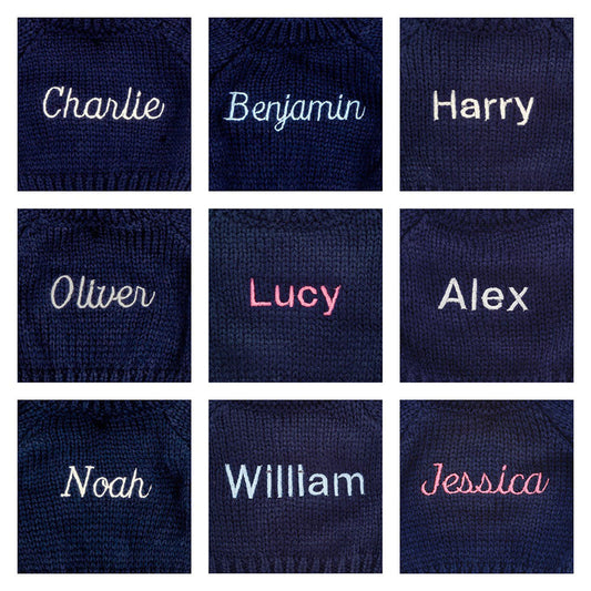 Bashful Lion with Personalized Navy Jumper