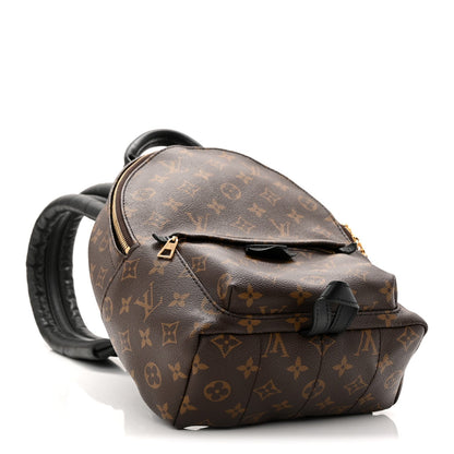Monogram Palm Springs Backpack PM