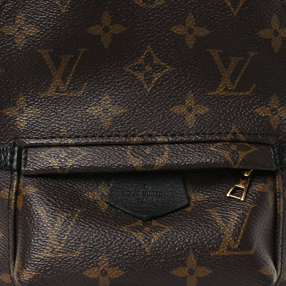 Monogram Palm Springs Backpack Mini