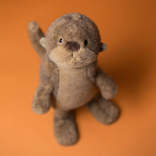 Brooke Otter