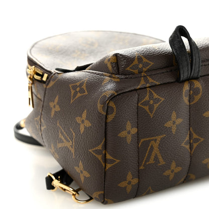 Monogram Palm Springs Backpack Mini